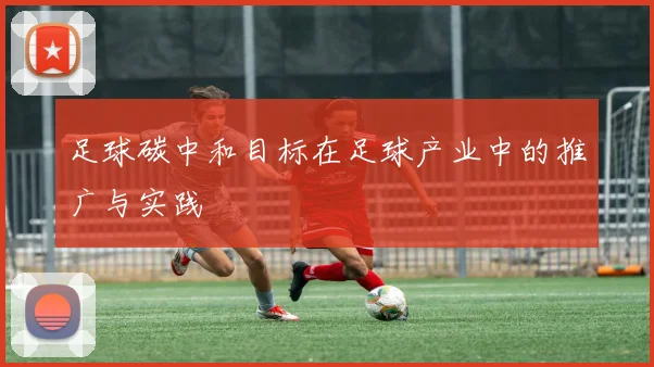 足球碳中和目标在足球产业中的推广与实践