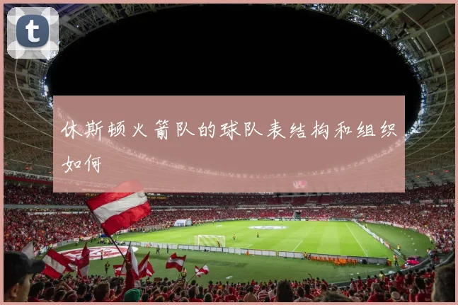 休斯顿火箭队的球队表结构和组织如何