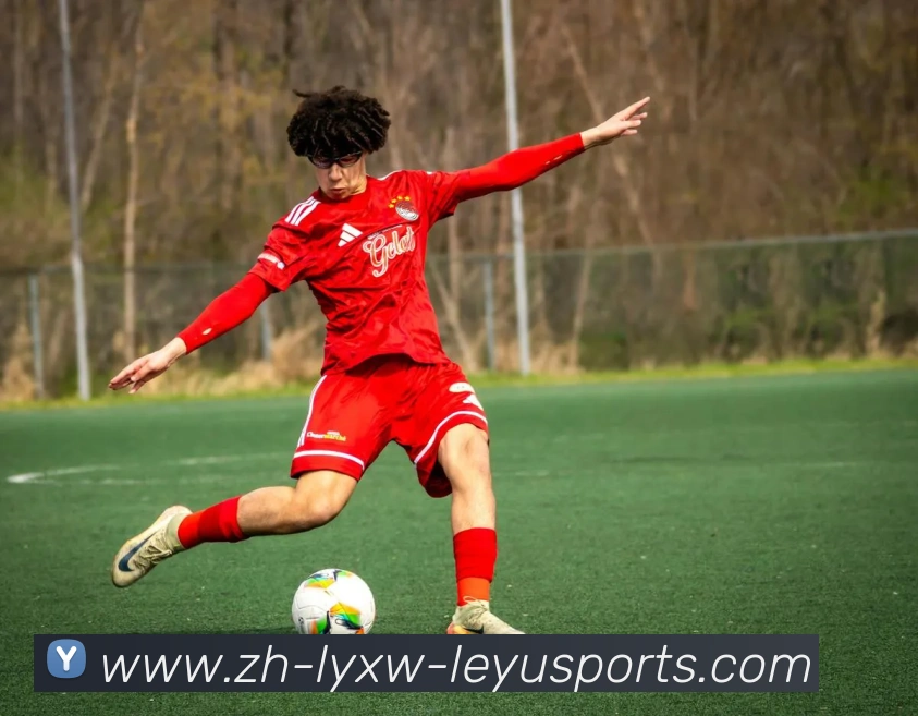 乐鱼体育平台生态图