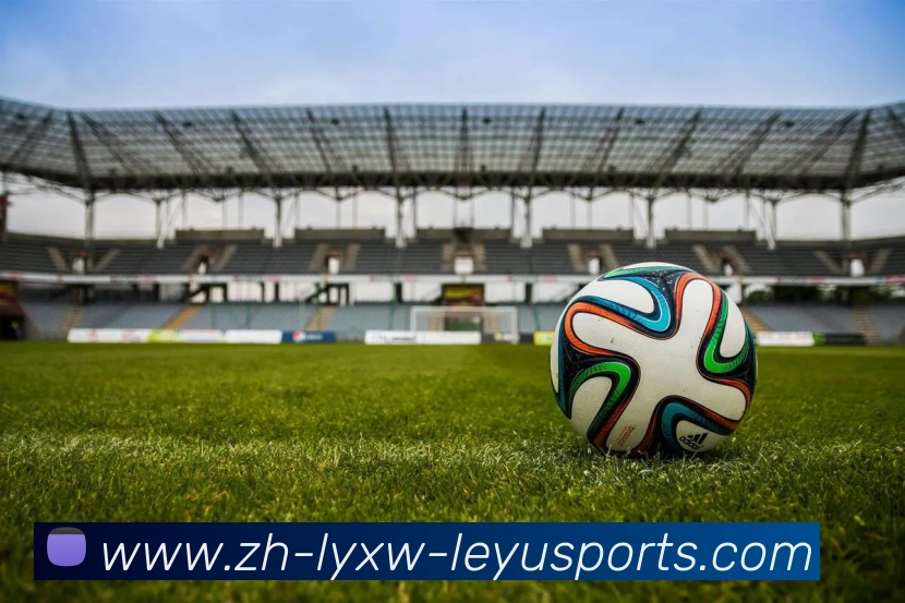 乐鱼体育APP 封面图