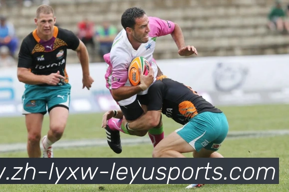 数据防护可视化